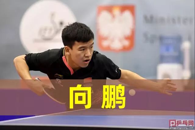 王楚钦以不 王楚钦以不