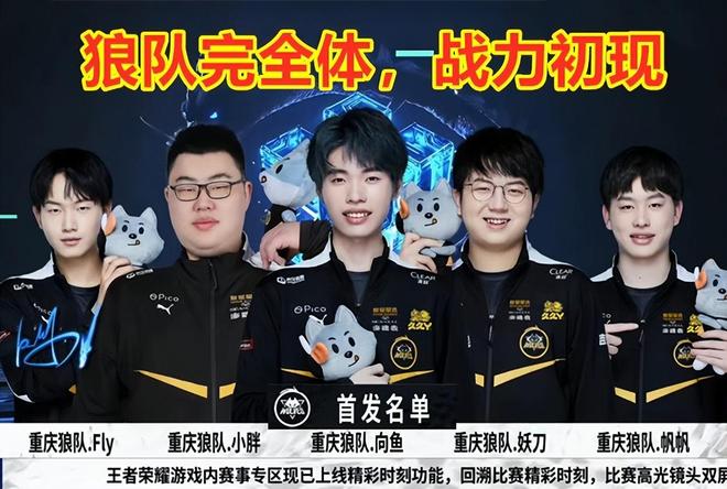这能保护资